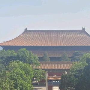 大勇说京牌 头像