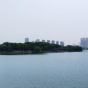 东之星名车汇头像