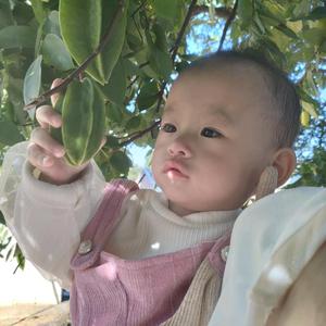 宁宁呀头像