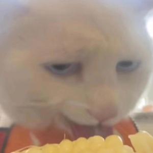 就要吃香菜11111 头像