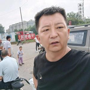 强哥带你逛狗市头像