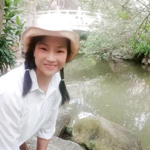白鸽音乐图文头像