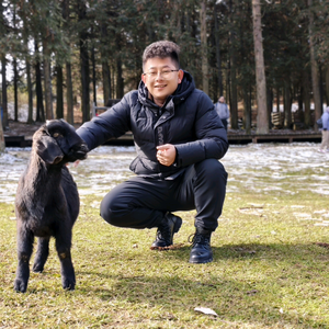 兰州鲁同学宗介头像
