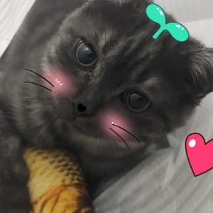 tobi头像