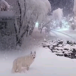 清风吹雨情头像