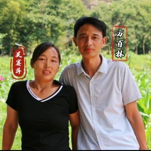 袁渡人家头像