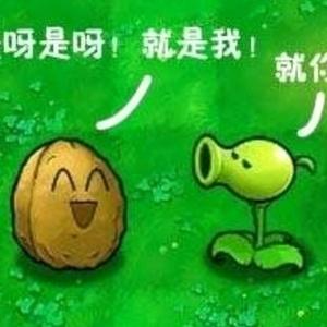 minecraft万事通豌豆头像