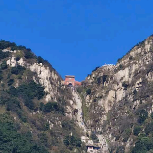 上善若水头像