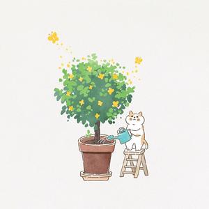 睡觉的木目酱头像