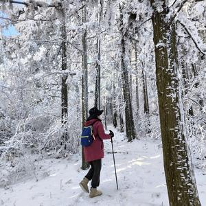 浙江导游范范头像