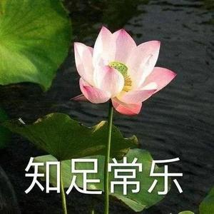 岁月静好话家常头像