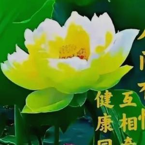 宁静的夜里睡不着头像