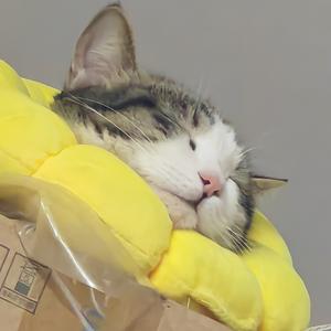 要开心头像