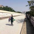 燕子在南宁头像