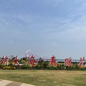 淡路岛阳光头像