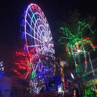 风过无痕199011头像