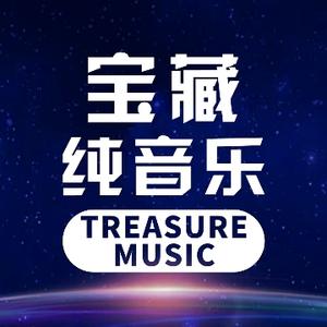 宝藏音乐极品图片