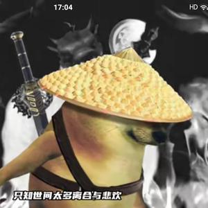 单身侠客汪头像