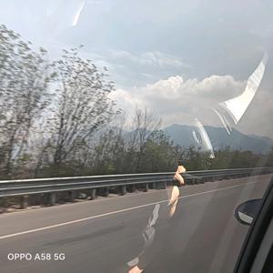 释然ovo头像