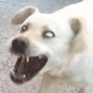 禾不俊头像