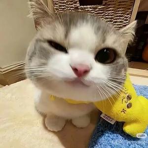 过去会不见的头像