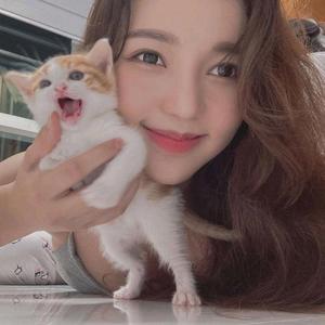 晓玲人生百态头像