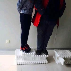 海容模块公司刘莹头像