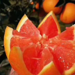 Orange果果1头像