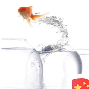文头像