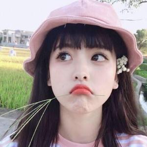 奶酪糖头像