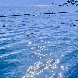 Sunny老师头像
