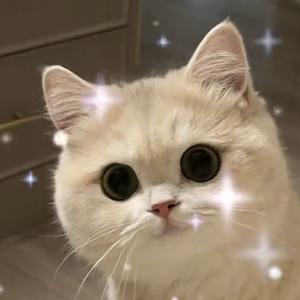 六六子呀头像