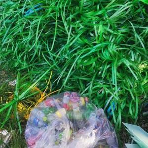 乡村小阿牛头像