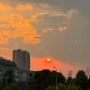爱手机的小朱呀头像