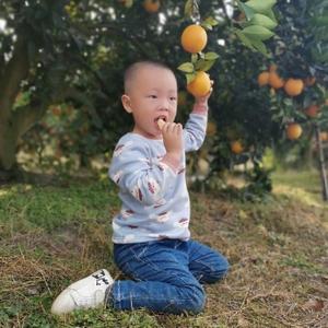 gyg19850322头像