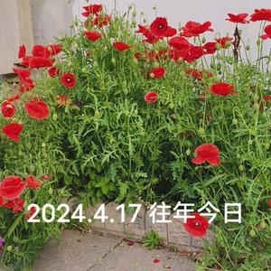 ggg5255u9d头像