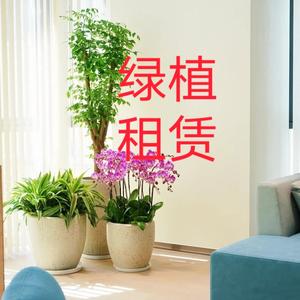 园艺人朱先生长沙绿植租赁头像