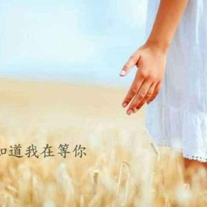 轮回彼岸花头像