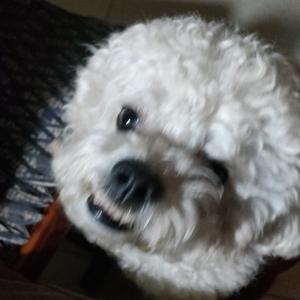用户7218559686头像