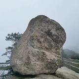 WYQ的剪映头像