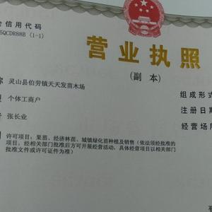 多才多艺农业小张头像