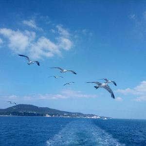 清清的泉水头像