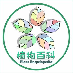 百科植物头像