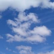 東郭風亭头像