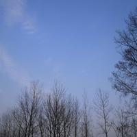 发财橙子8a2头像