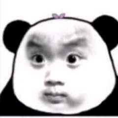 车不顾好腿打断头像