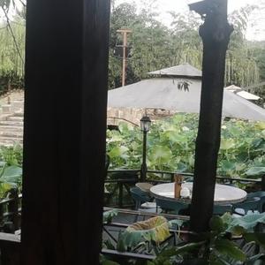 坦荡上进圆月12头像