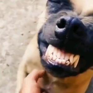 开心果儿眼力挑战头像