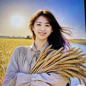 栗歌百货头像
