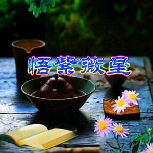 悟紫微星头像